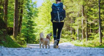 Collepardo riapre al dog trekking, una splendida camminata nel verde da fare insieme agli amici a 4 zampe