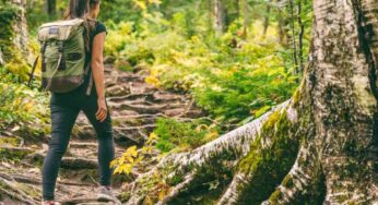Tre percorsi perfetti per chi ama fare trekking, questo parco si trova nel cuore della Ciociaria